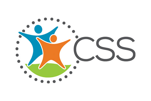 Community Support Services 2016